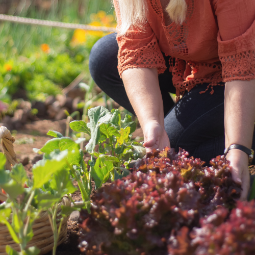 Woman gardening